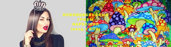 кокс Костерёво