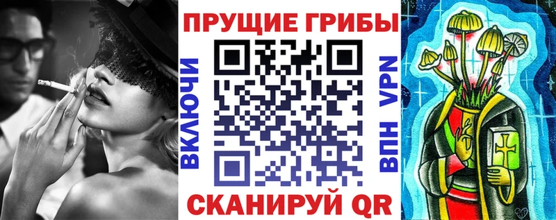 Купить закладки  Онега  Псилоцибиновые грибы Psilocybe 